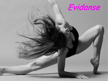 Evidanse[z4;0;0;0;8;1;2;346;33;1;2;2;12;y]